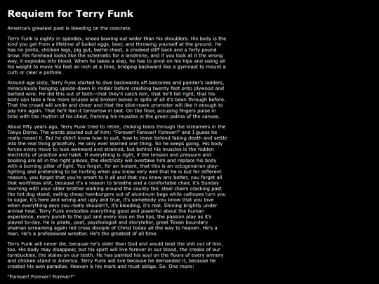 writing/requiemforterryfunk screenshot