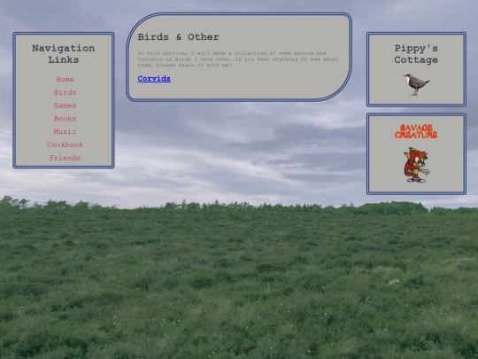 birds screenshot