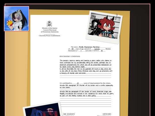 FichaMirelleEN screenshot