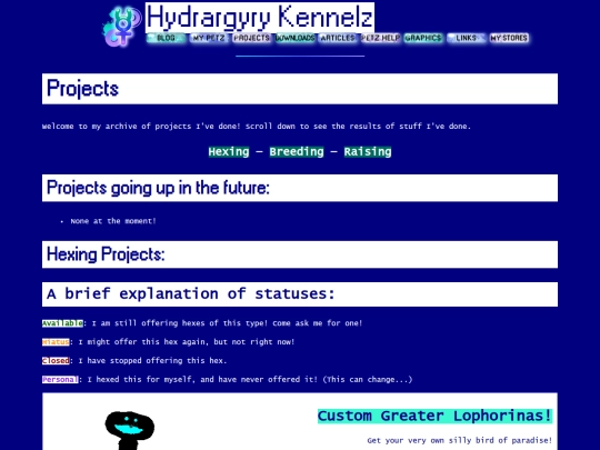 projects screenshot