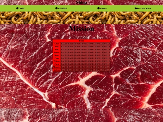 mission screenshot