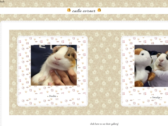 webpages/guinea pig stuff/DS screenshot