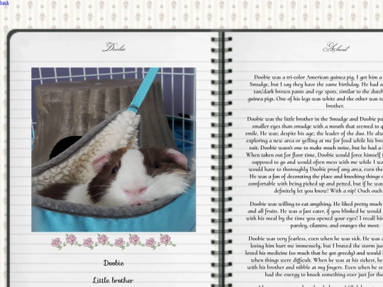 webpages/guinea pig stuff/doobieinfo screenshot