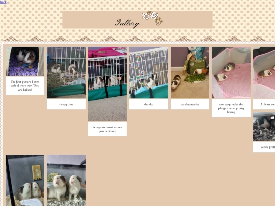 webpages/guinea pig stuff/maingallery screenshot