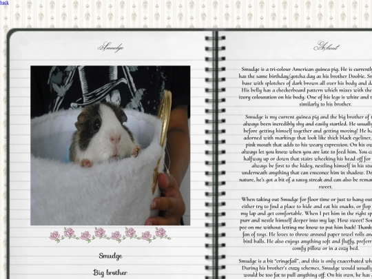 webpages/guinea pig stuff/smudgeinfo screenshot