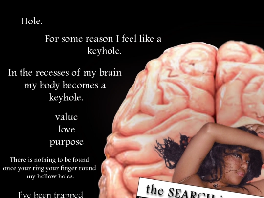 webpages/hole screenshot