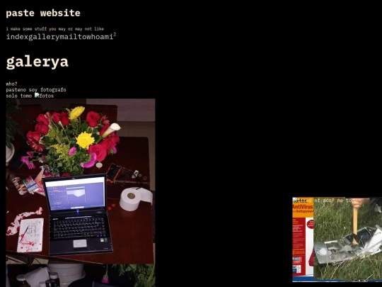 gallery screenshot