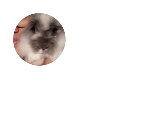 Webanimatie/Webanimatie_Oefeningen/Les7/Les7_oef3 screenshot