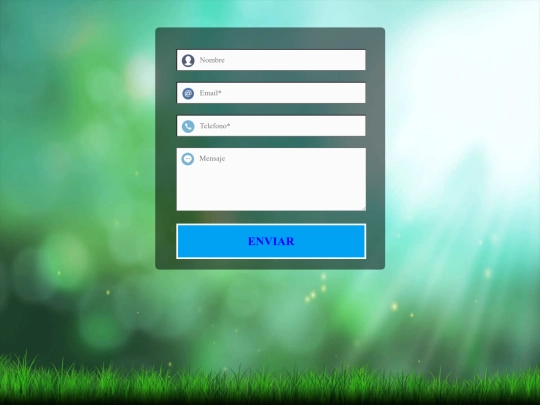 proyecto cursos/formulario screenshot