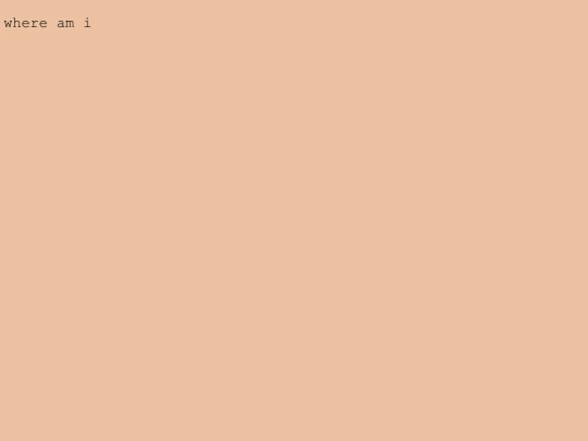 dagr/fishy screenshot