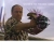 bblar227.neocities.org avatar