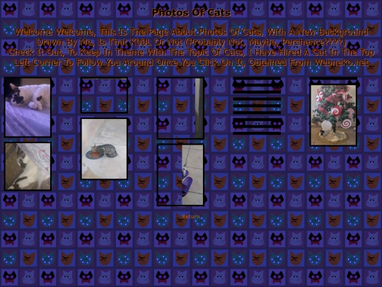 photosoffatcats screenshot