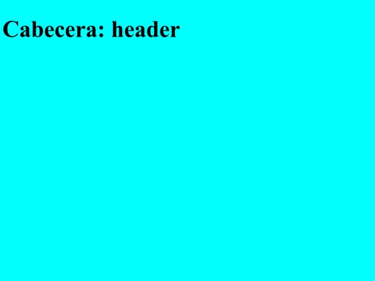 html/declaracion screenshot