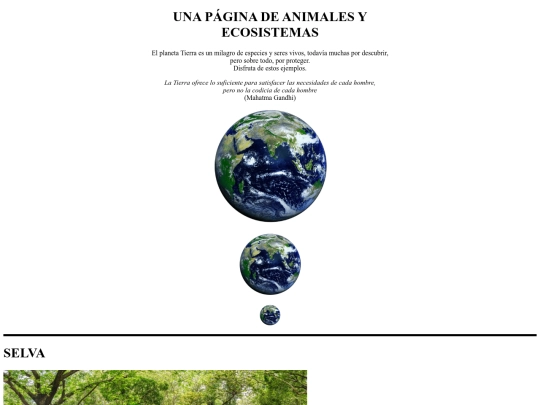 Pr´çactica 5/Practica5 screenshot