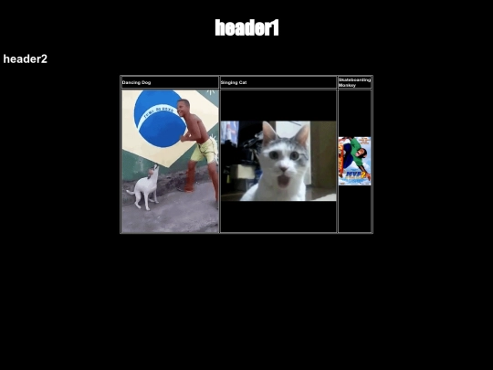 Sources/JesseTestWebsite/main screenshot