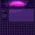 The web site of nyxt0philia avatar