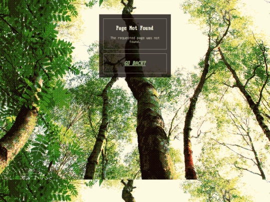 not_found screenshot