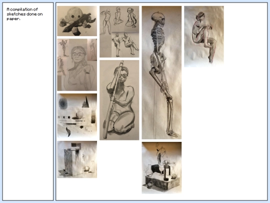 lifedrawings screenshot