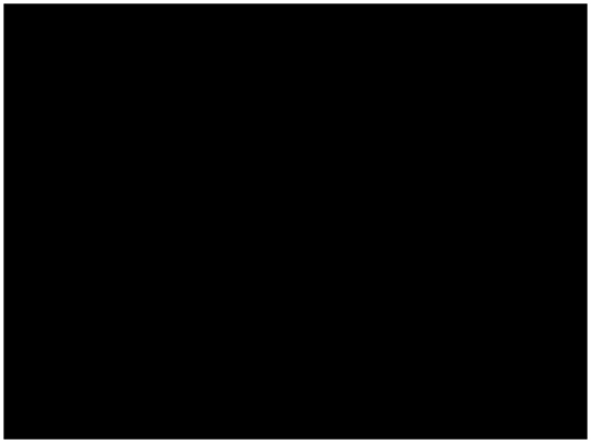 xp/apps/cmd screenshot