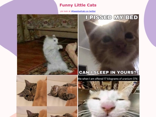 cat-pictures screenshot