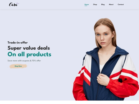 ECOMMERCE/html screenshot