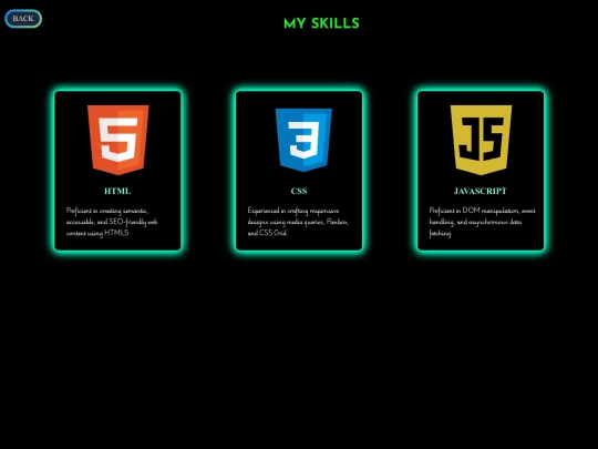 portfolio/html/skills screenshot