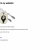 The web site of toothandshore avatar