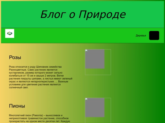 z screenshot