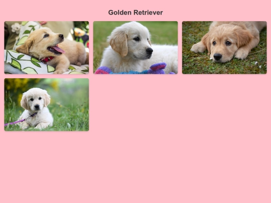 goldenretriever screenshot
