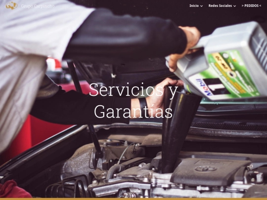 Servicios y Garantas screenshot