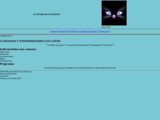 paginas/cuidados y enfermedades screenshot