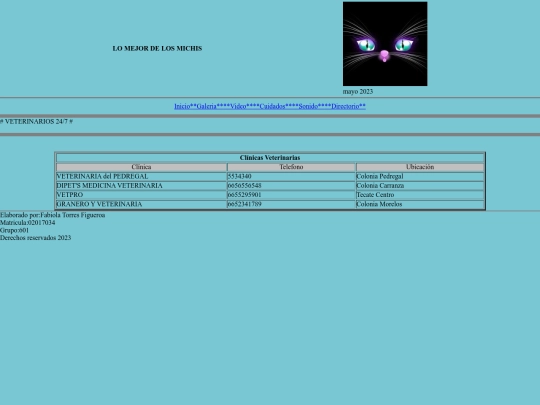 paginas/directorio veterinarias screenshot