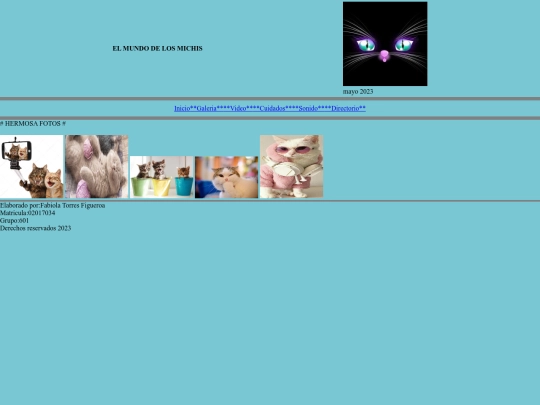 paginas/fotos screenshot