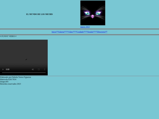 paginas/video screenshot