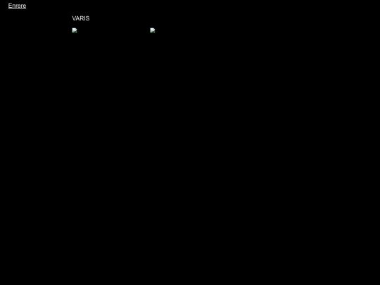 portafolios/varis_projectes screenshot