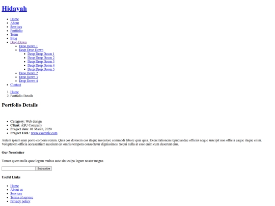 portfolio-details screenshot
