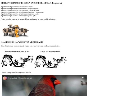 responsive_fsm screenshot