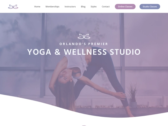 nonProfit-page/v2.1-Only Vinyasa -GeneratePress screenshot