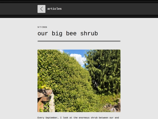 articles/our-big-bee-shrub screenshot