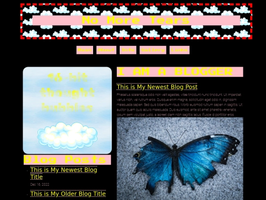 blog11 screenshot