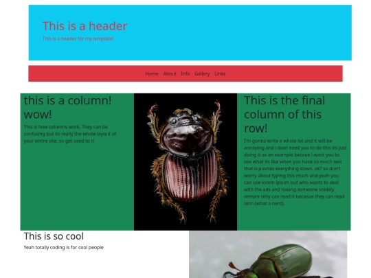 bstest screenshot