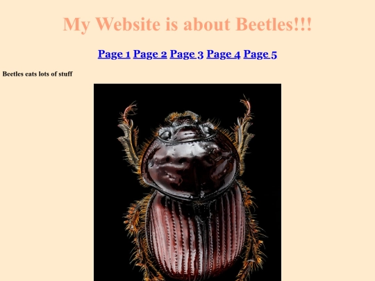 page1 screenshot