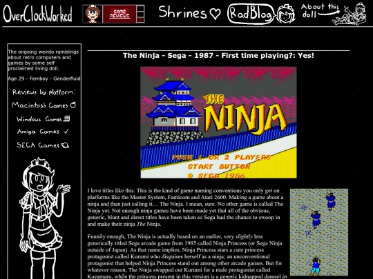 segaages/theninja screenshot