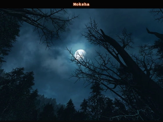 TheLaundromat/TheMoon/themoon screenshot