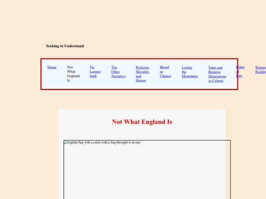 essay1 screenshot