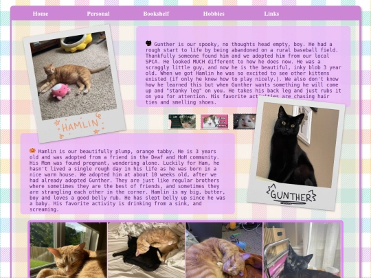 kitties screenshot