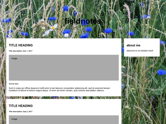 blog screenshot