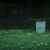 forestofdreamselo.neocities.org avatar