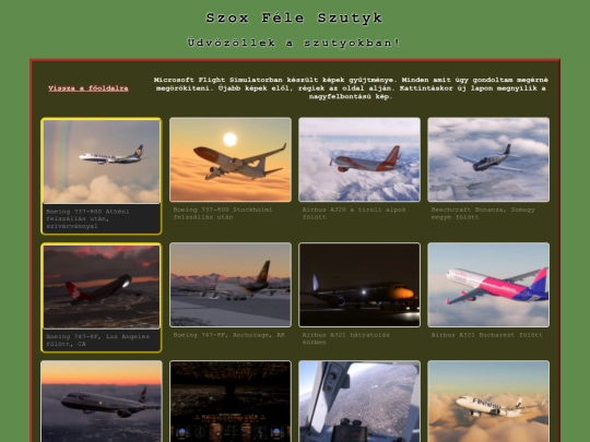 screens_msfs screenshot