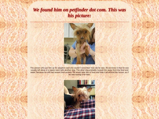 adoption screenshot